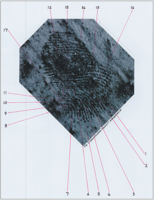 Figure 8