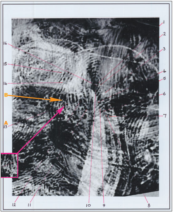 Figure 17
