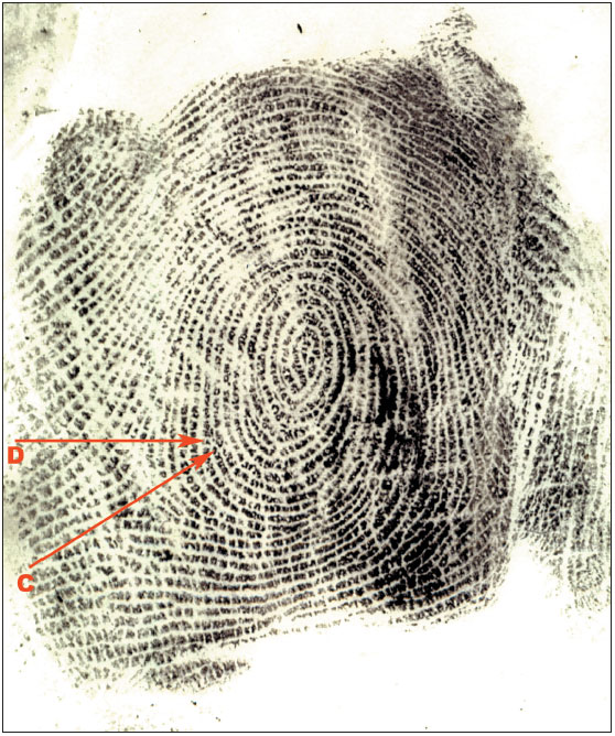 Figure 18