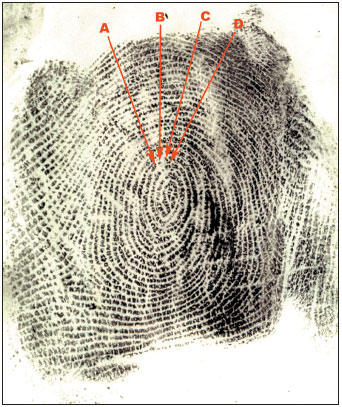 Figure 19